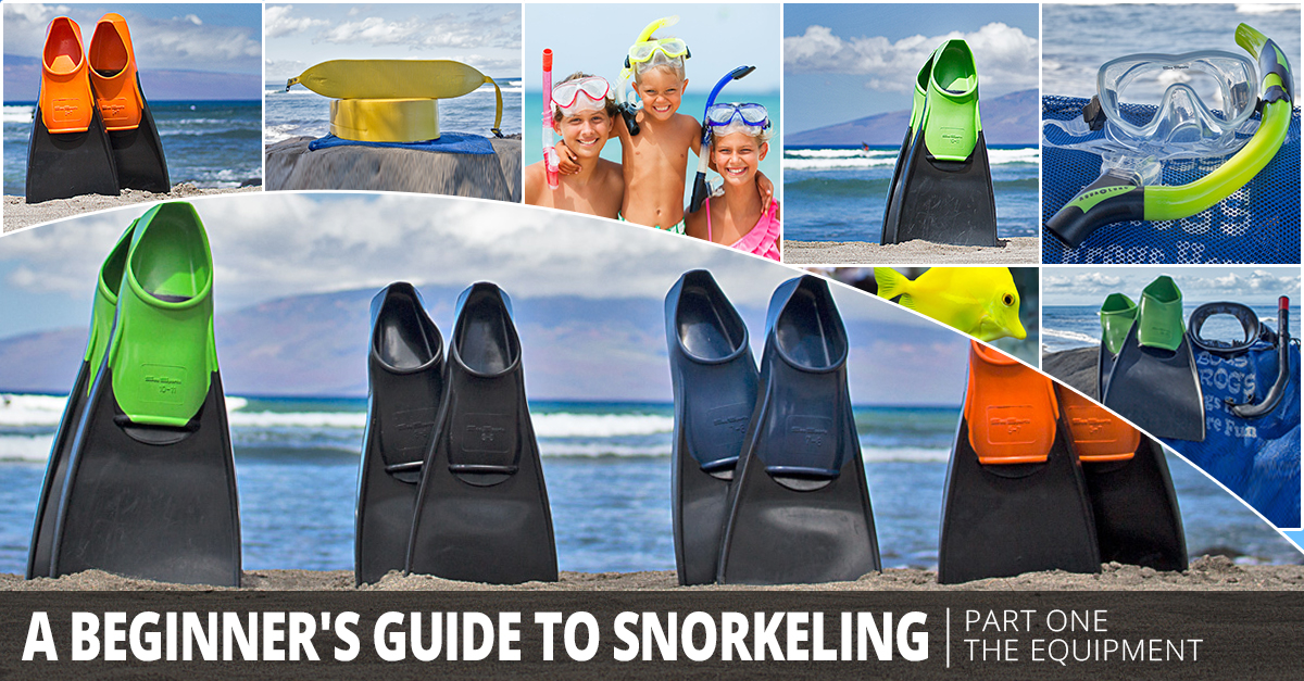 A Beginner’s Guide to Snorkeling Part I: The Equipment